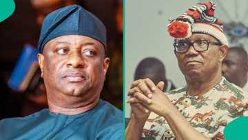 Breaking: Peter Obi under fire as Tinubu's minister takes action against him, "You must pay"