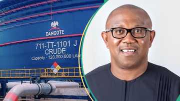 Peter Obi advises Tinubu's government to support Dangote Refinery, gives reasons