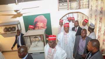 Buhari ya rasa akwatin tsohon Gwamnan Kano Kwankwaso a zaben 2019