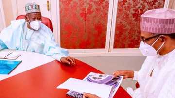 Kano project: Buhari didn’t understand the picture Ganduje showed him, says Kwankwaso