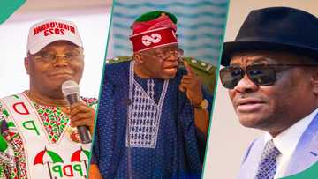 Year in review: 7 political events that shaped Nigeria in 2023