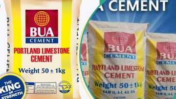 BUA cement sellers speak 4 weeks after company slashed price from N5,500 to N3,500 per bag