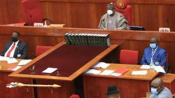 Siyasa: Jerin fitattun ‘Yan Majalisar Dattawa 10 da su ke harin kujerar Gwamna a zaben 2023