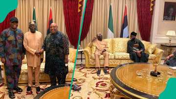 Breaking: PDP Gov Adeleke, Davido, father visit Tinubu amid 2 political crises in Osun