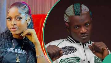 "U came to my DM to beg me to come back": Honey Berry taunts Portable for calling her out