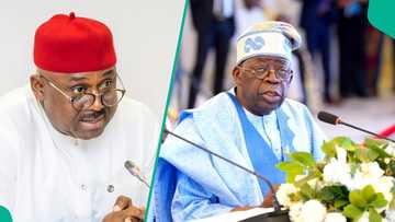 Popular southeast senator proposes how many years president should serve in single tenure