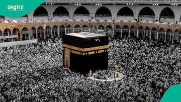 2026 Hajj: Saudi authorities to translate Arafat sermon into Yoruba, Hausa, 33 other languages
