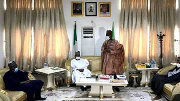Ta'addanci: Ya kamata Buhari ya san barnar da dakarun sojoji suke yi - Gwamna Zulum zai fasa kwai