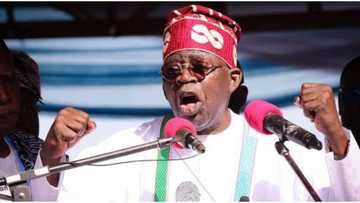 BREAKING: Court grants Tinubu access to inspect INEC's election material