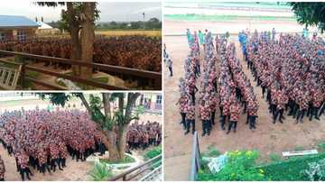 Anambra school students dump normal uniform, attend first assembly in native attire 'Isi Agu,' photos go viral