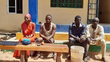 Yadda wata budurwa ta sace kaninta a Adamawa tana neman kudin fansa N6,000,000