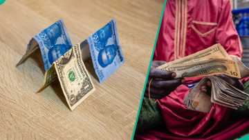 Naira loses against dollar at official foreign exchange market