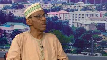 NEF spokesman speaks on 2023, says Nigeria's next leader must deviate from Buhari's style