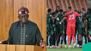 President Bola Tinubu called to rescue Nigerian football after failure to qualify for 2026 World Cup