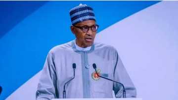 Buhari: 'Yan Najeriya suna gogayya a kasashen waje saboda ingantaccen ilimin da suke samu kafin su fita