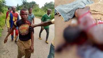 Yadda wani mutum ya kashe dan uwansa saboda mangwaro (Hoto)