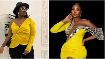“10 years ago you no come my low-budget wedding”: Warri Pikin to Lilian Afegbai as she laments about asoebi