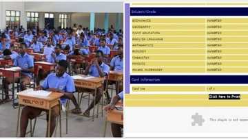 "Indebted in all subjects": WASSCE results sheet of candidates from 8 states withheld, WAEC explains