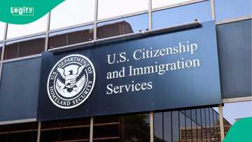 Nigerian man arrested at USCIS office over US visa fraud, $300,000 theft
