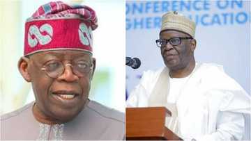 Tinubu ya yi tsokaci game da nadin da Buhari ya yi ma Ibrahim Gambari