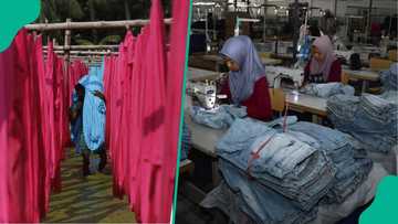 Governor concessions state-owned Garment Factory, others to Indian business group