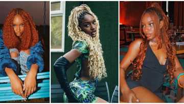 Fabulous in braids: 7 gorgeous times Ayra Starr sported Afrocentric hairstyles