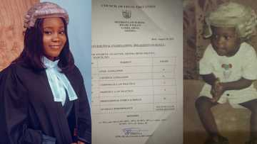 Nigerian lady who wanted to become lawyer as a child achieves her dream, shares kid photo where she wore wig