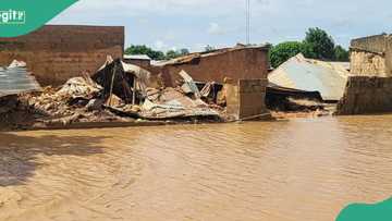 Government takes action as heavy rainfall floods several communities in Yobe