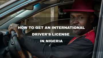 How to get an international driver's license in Nigeria 2022