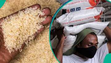 Rice dealers crash prices by N20,000 per 50kg bag as report predicts further drop in 2025