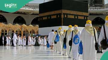2025 Hajj: Another Nigerian pilgrim dies in Mecca, cause of death, other details emerge