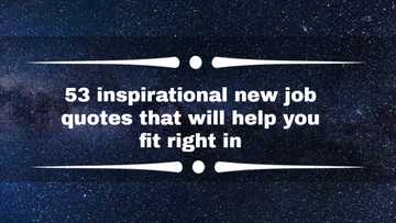 53 inspirational new job quotes that will help you fit right in