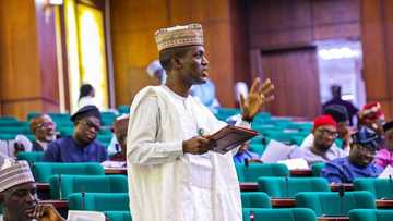 Wani ‘Dan Majalisa ya tallafawa Marasa karfi a Mazabarsa da buhunan kayan abinci