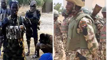 Borno: Harin Daukar Fansa da Fusatattun Mayakan Boko Haram Suka Kai Yayi Ajalin Matan ‘Yan ISWAP 33 a Borno