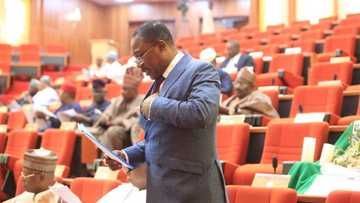 2023 presidency: APC senator moves against same faith ticket, proposes new bill