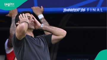 Transfer: 4 players Arsenal plans signing after UCL defeat vs Paris Saint-Germain