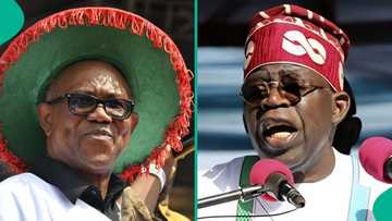 Peter Obi releases bold June 12 message to Nigerians: "Tinubu not working for Nigeria"