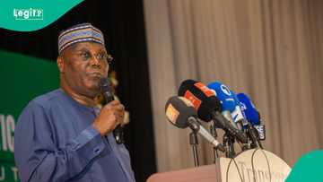 Atiku dismisses Oyedele's defence of Tinubu's economic policies, cites CBN's alleged debt figures