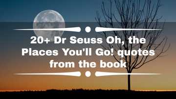20+ Dr Seuss Oh, the Places You'll Go! quotes from the book