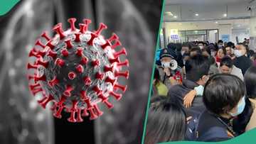 HMPV: Nigerian govt takes action as new virus spreads in China