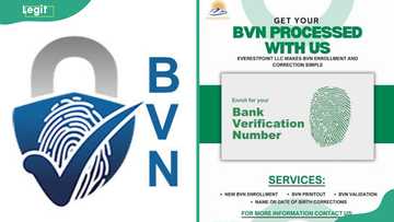 How to check my BVN date of birth online and on phone