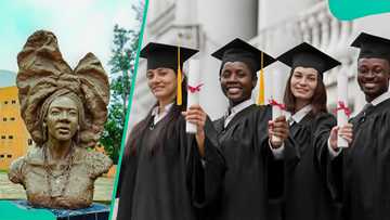 Courses under art department in Nigeria and subjects required