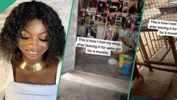 Businesswoman who left shop in the hands of salesgirl for 6 months returns to meet it almost empty