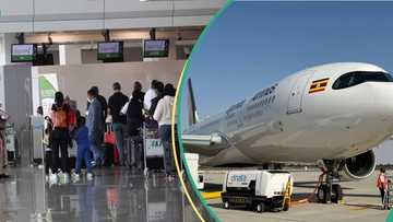 New airline commences flights in Nigeria with cheaper fares, to rival Air Peace, Arik, others