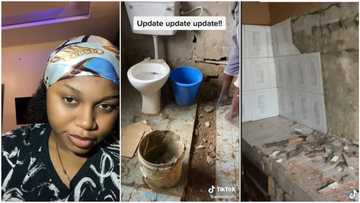 "Will you marry there?" Nigerian lady rents house, removes all its tiles, puts new ones she likes in clip