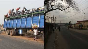 Confusion, pain as okada, keke drivers spotted leaving Lagos (video)