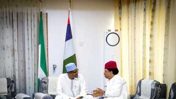 2 things you should do after attending book launch in Lagos - Shehu Sani advises President Buhari