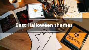 40 best Halloween themes: Throw a Spooktacular party in 2026