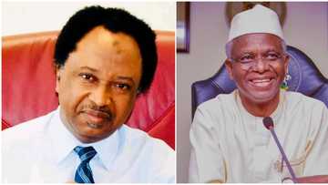 “Dare you to make your assets public”: Shehu Sani challenges El-Rufai, reveals what ex-gov expects from Tinubu