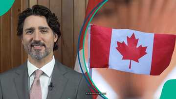 Canada publishes 2 official websites to find jobs, says over 2,000 vacancies are posted daily
